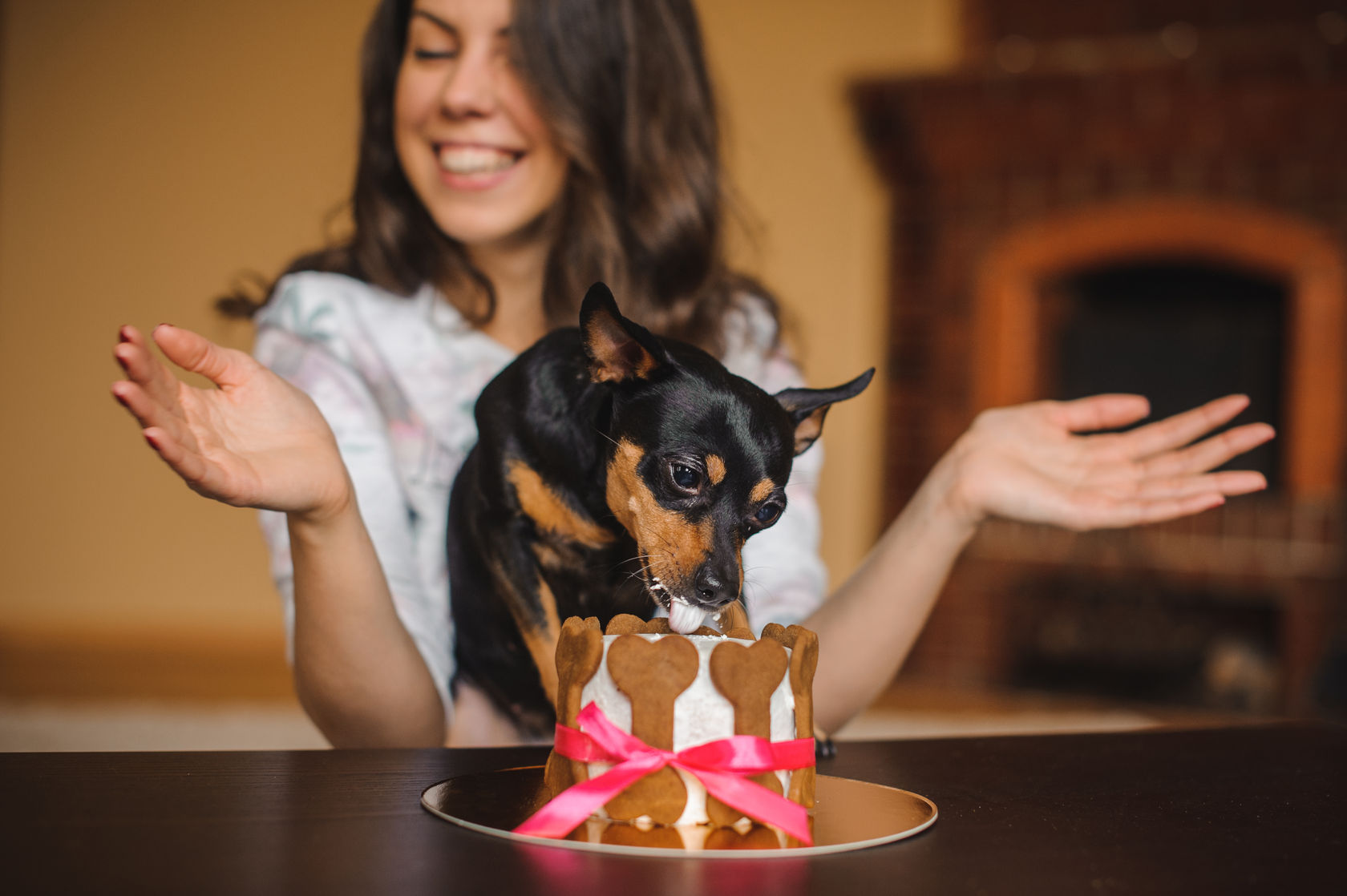 «Venga le cuento»: ¿Cómo se hace un cumpleaños para perros?