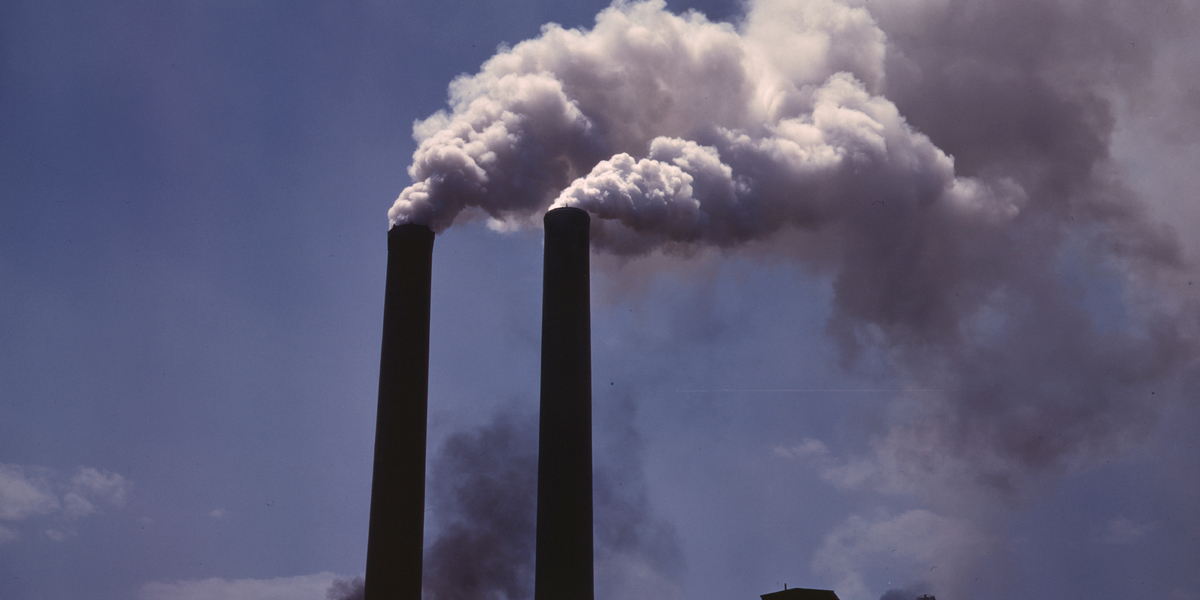 Una bacteria convierte las emisiones de gases industriales en combustibles