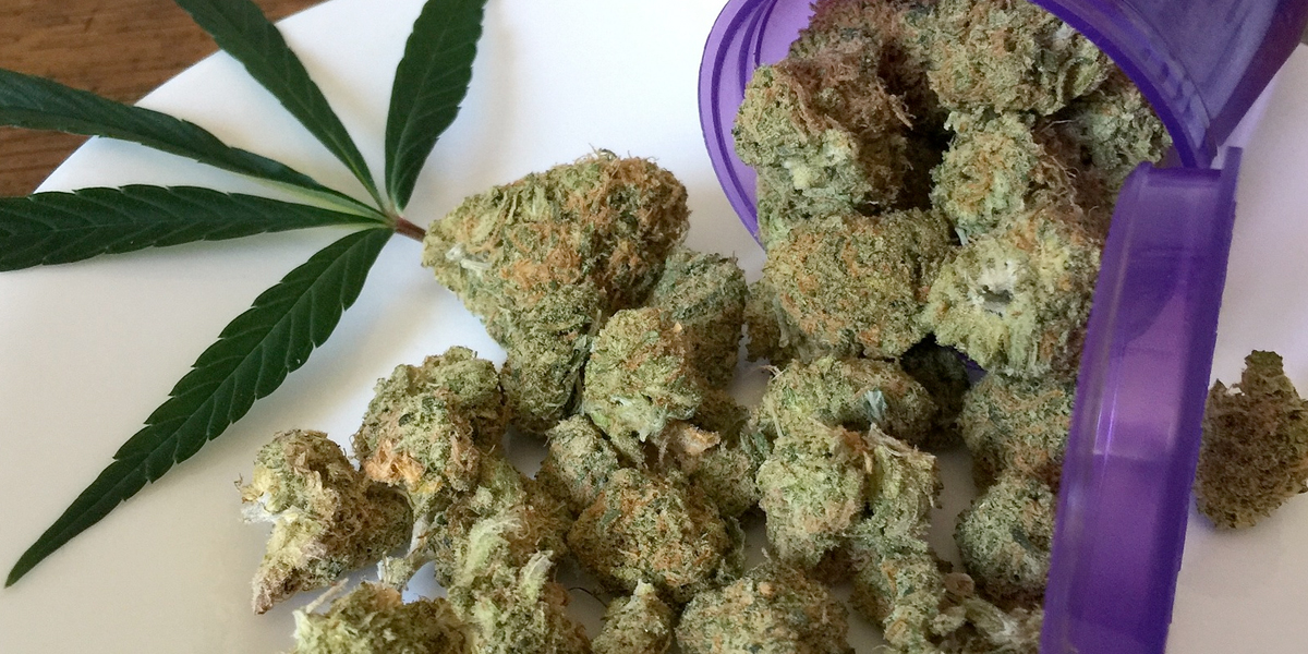 Estas 6 empresas obtienen licencia para producir cannabis medicinal
