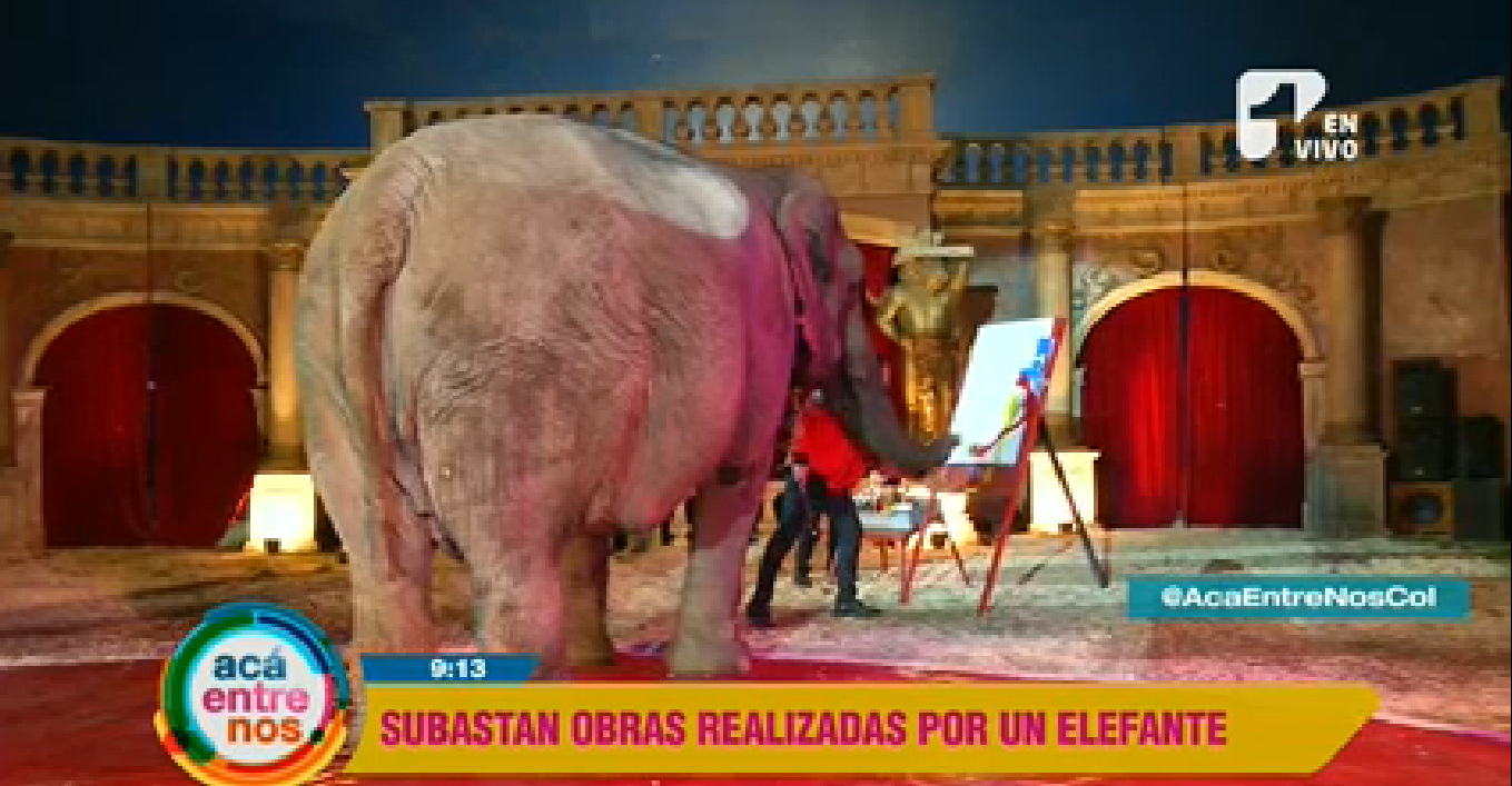 Sandrita, la elefante pintora que trabaja por salvar otros animales