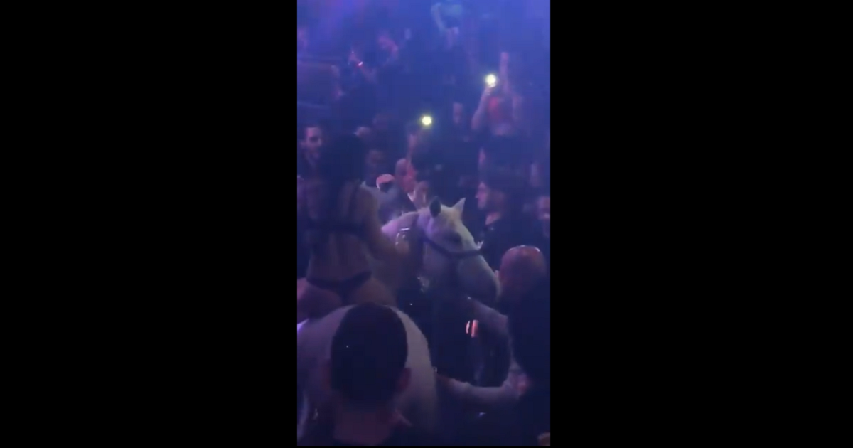 Investigan a mujer que entró a discoteca en ropa íntima y sobre un caballo