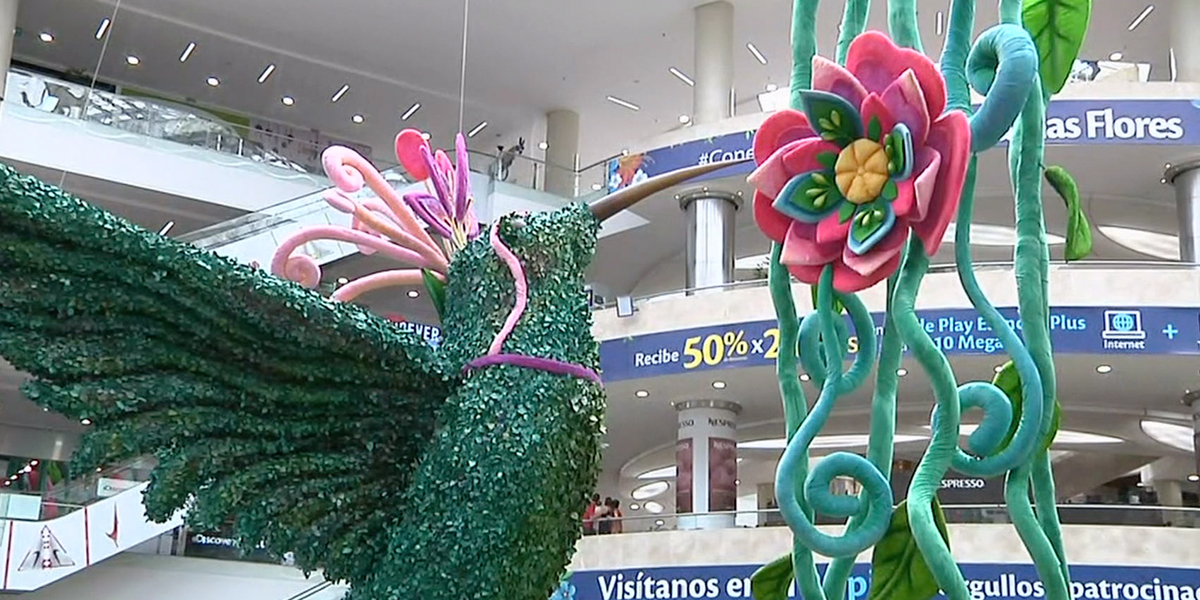 Exposición de bonsáis en la Feria de las Flores
