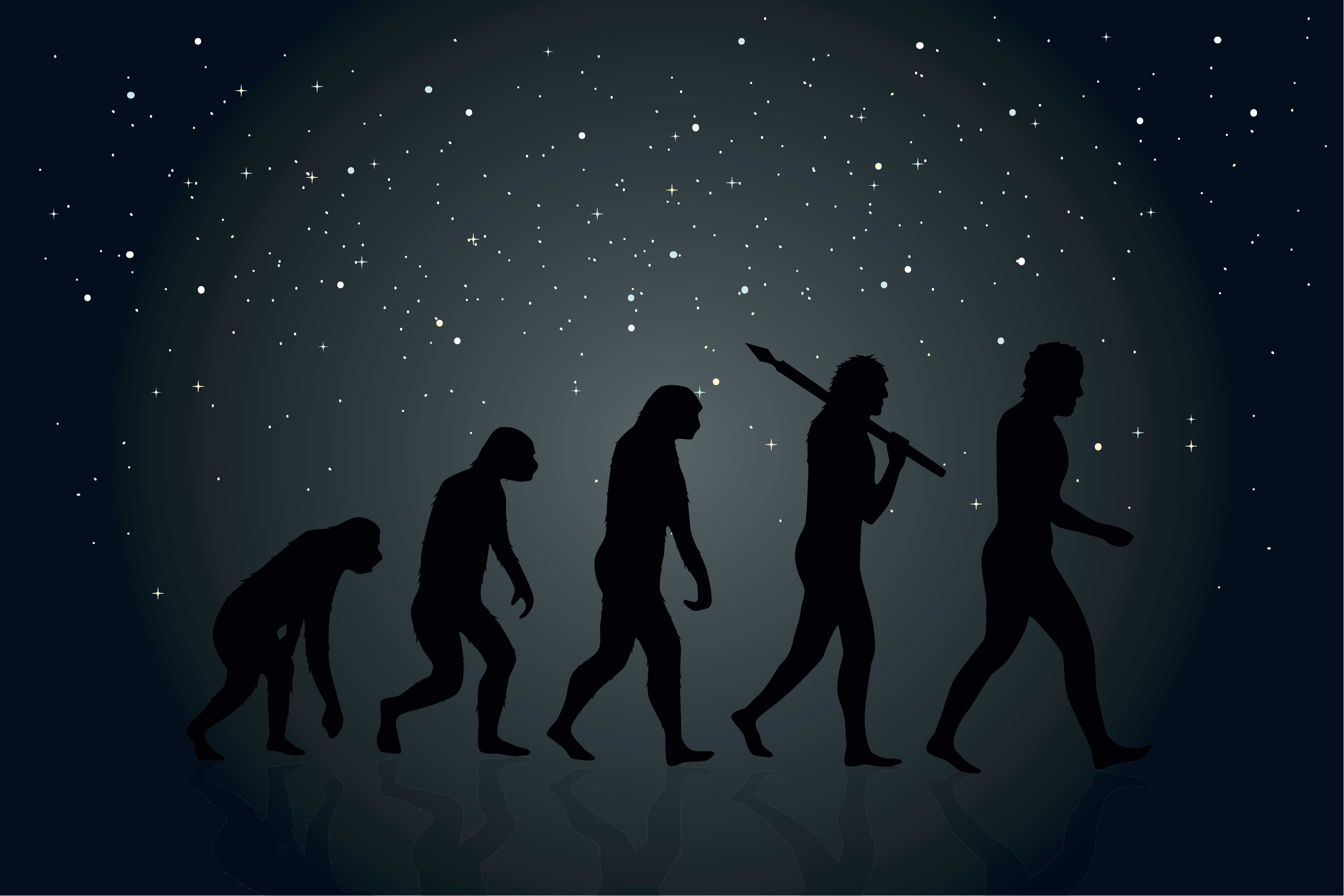 Revelan cómo sería el rostro de los humanos en la siguiente etapa de la evolución Noticentro 1 CM& Revelan cómo sería el rostro de los humanos en la siguiente etapa de la evolución Noticentro 1 CM&
