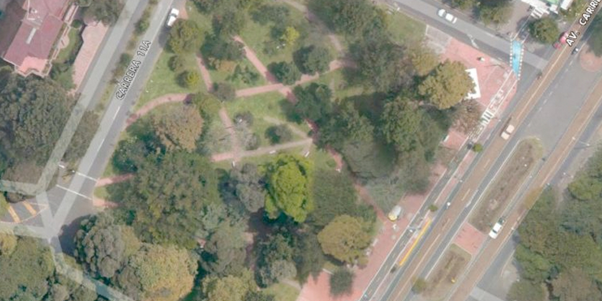 Alcaldía de Bogotá acoge concepto de Procuraduría para aprovechamiento forestal