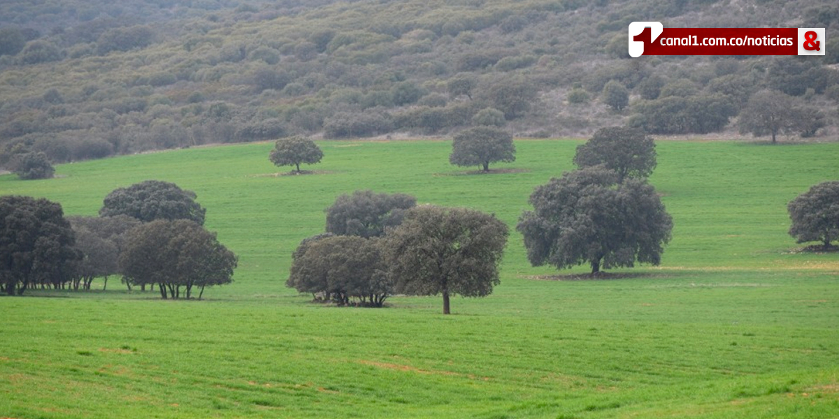 Gobierno anuncia acuerdo para impulsar proyecto de ley que crea especialidad agraria y rural