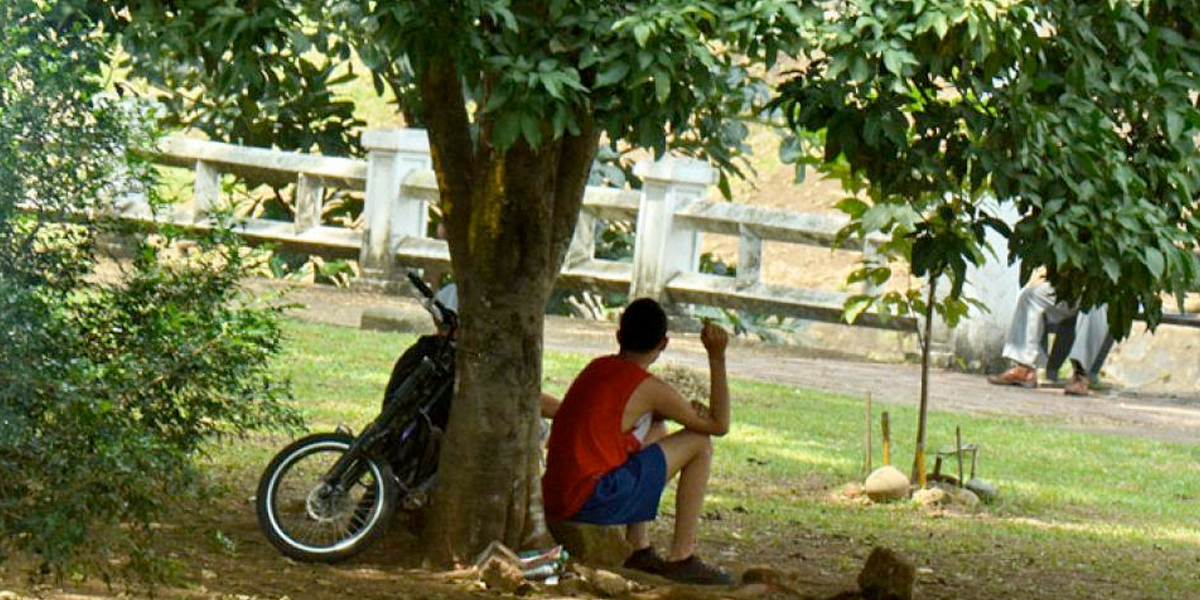 Prohibirán consumo de sustancias psicoactivas y alcohol en espacios recreativos de Cali
