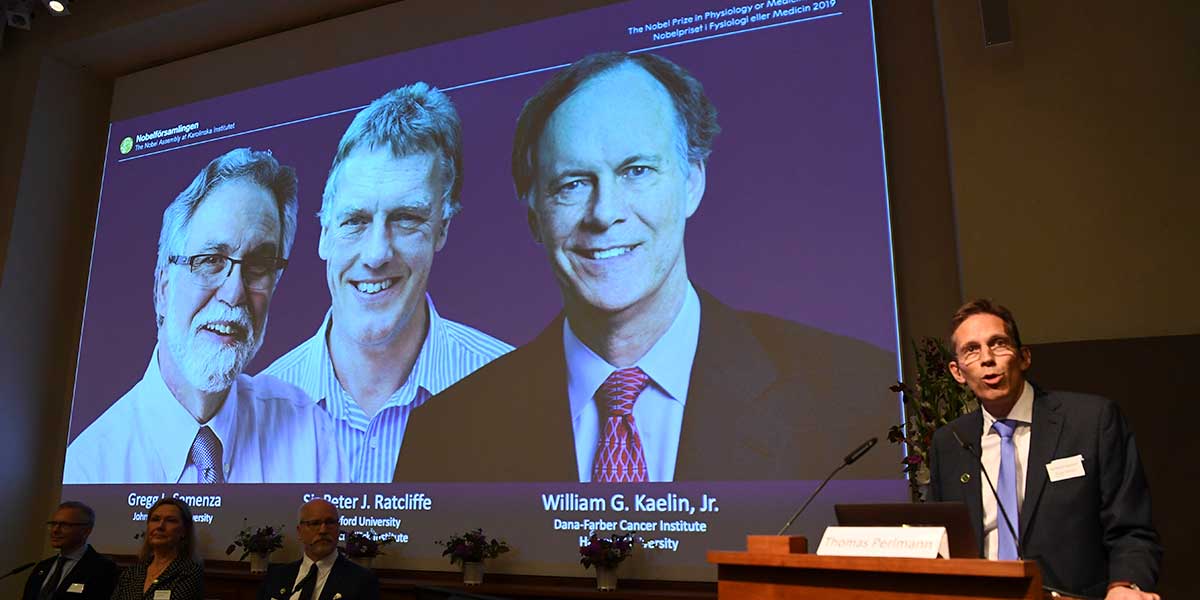 El estudio que les valió a tres médicos el premio Nobel de Medicina
