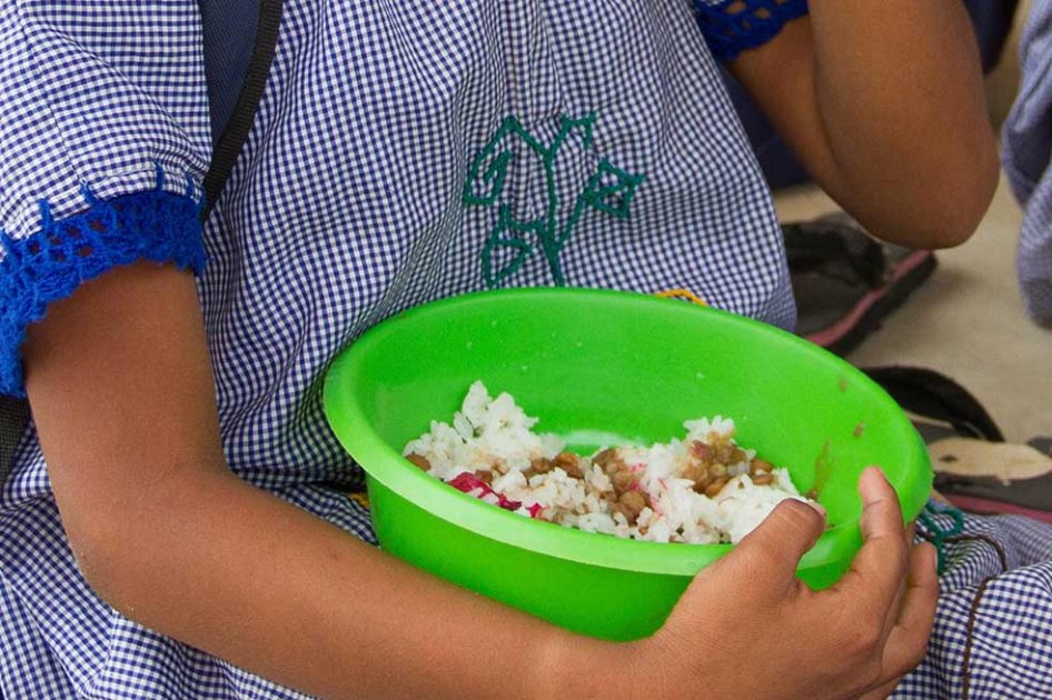 ¿Por qué anda tan mal el Programa de Alimentación Escolar? La Contraloría hizo su propio diagnóstico