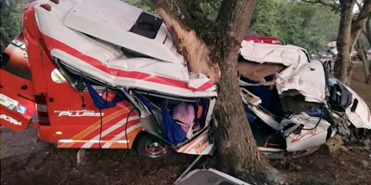 Una vaca causó accidente en la troncal Panamericana: un muerto y 15 heridos